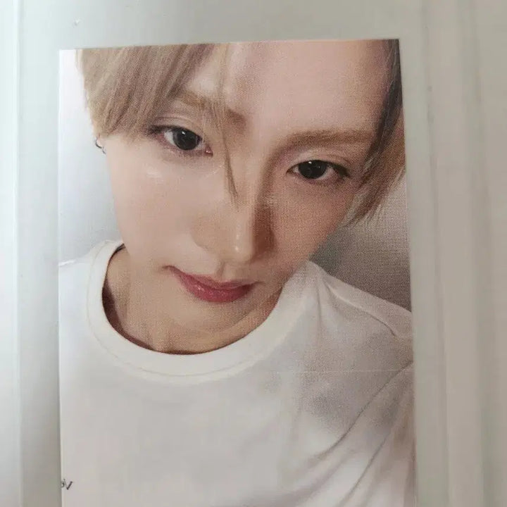 [BUNJANG] BringGreen Sangwon Photocard / 알디원 브링그린 상원 포카