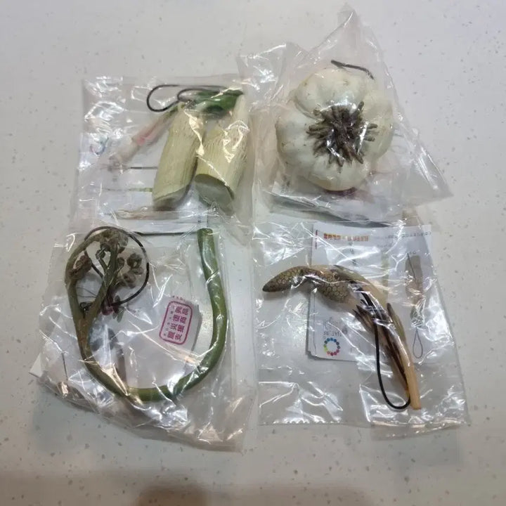[BUNJANG] NTC 네이처테크니컬러 산채2 식물피규어 4종 미사용 띠지 포함 일괄 / NTC 네이처테크니컬러 산채2 식물피규어 4종 미사용 띠지 포함 일괄