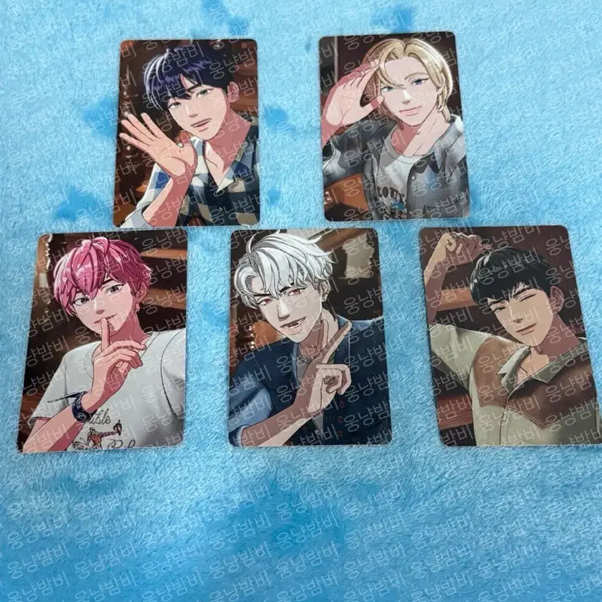 [BUNJANG] PUTV Photocard Bundle Set / [일괄] PUTV 포토카드