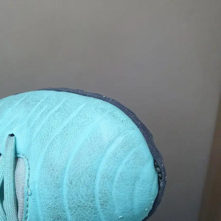 [BUNJANG] Nike Tiempo Legend 10 Pro TF / 티엠포레전드10 프로 tf270