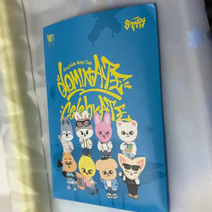 [BUNJANG] Stray Kids DominATE:Celebrate Final Concert Photocard Bundle Set / 2025 스키즈콘서트 막콘포카 일괄양도 DominATE:celebrate