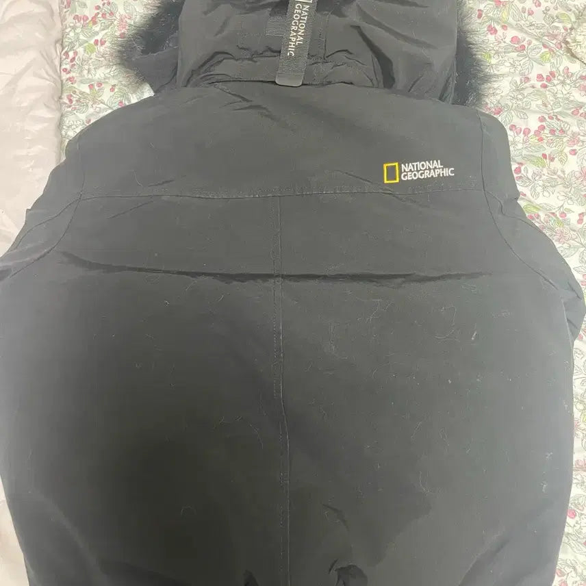 [BUNJANG] National Geographic Duck Down Padded Jacket / 네셔널지오그래픽 오리털 패딩 판매합니다