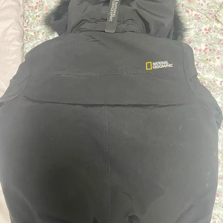 [BUNJANG] National Geographic Duck Down Padded Jacket / 네셔널지오그래픽 오리털 패딩 판매합니다