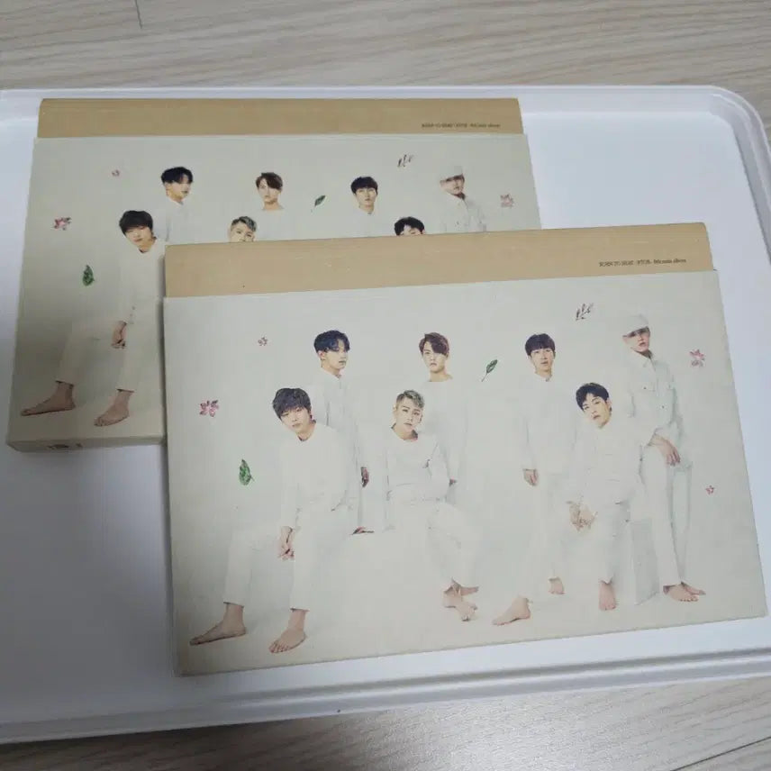 [BUNJANG] BTOB Remember That Album / 비투비 봄날의 기억 앨범