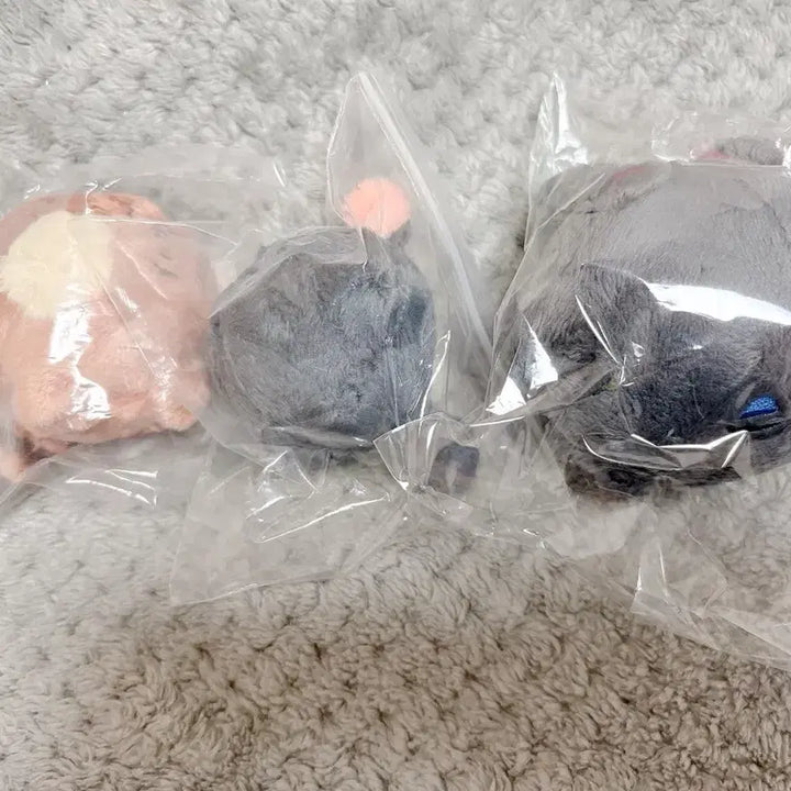 [SOLD OUT] 미니 돼굴 1팀