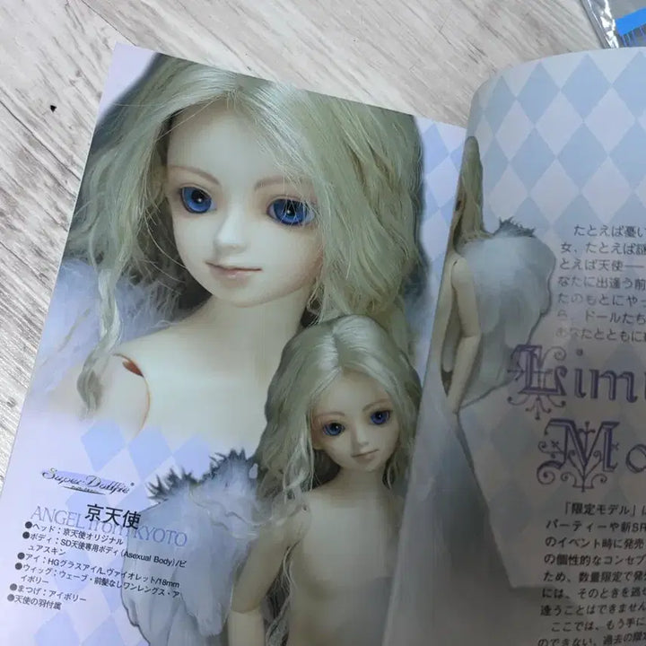 [BUNJANG] Ball-Jointed Doll / 구체관절인형