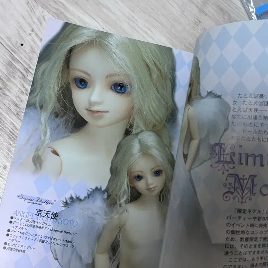 [BUNJANG] Ball-Jointed Doll / 구체관절인형