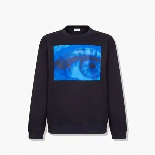 [BUNJANG] Dries Van Noten Eye Printing Sweatshirt / 드리스 반 노튼 EYE프린팅 스웨트셔츠  dries van noten