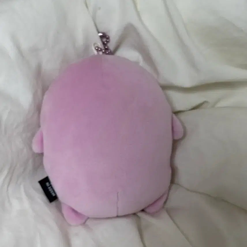 [BUNJANG] Kkru Dakong Second Generation Plush / 크크루 다콩이