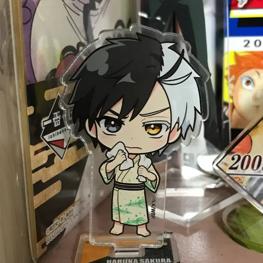 [BUNJANG] WAKEONE ZEROBASEONE Sakura SD Acrylic Stand / 윈브레 사쿠라 sd 아크릴 스탠드