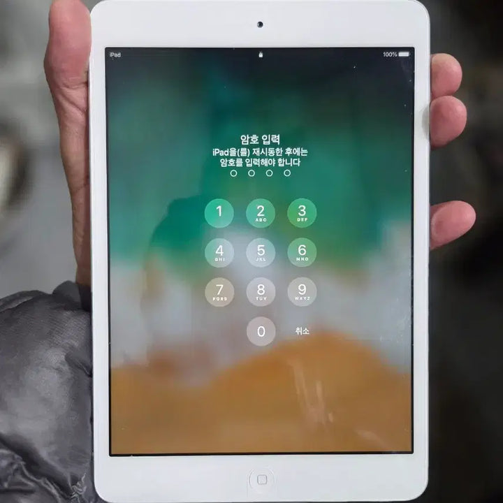 [BUNJANG] iPad Mini 2 (For Parts) / 아이패드 미니2 부품용