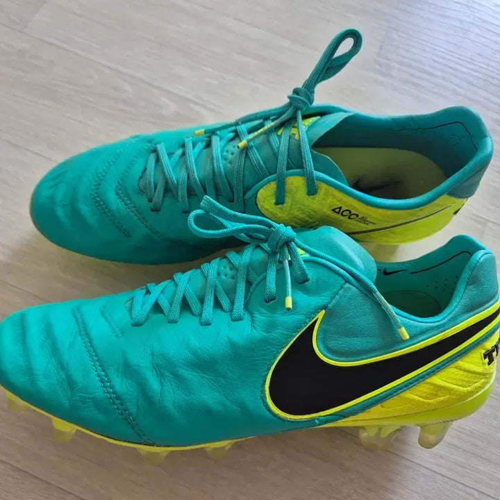 [BUNJANG] Nike Tiempo Legend 6 FG Soccer Cleats / 나이키 티엠포 레전드 6 FG 축구화