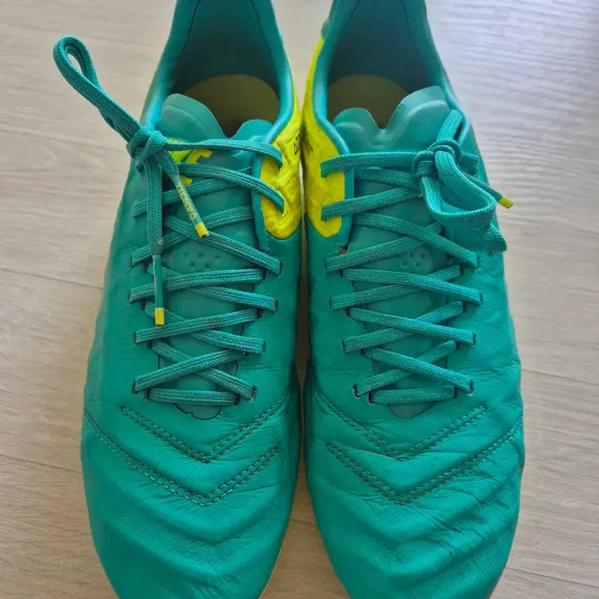 [BUNJANG] Nike Tiempo Legend 6 FG Soccer Cleats / 나이키 티엠포 레전드 6 FG 축구화
