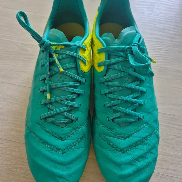 [BUNJANG] Nike Tiempo Legend 6 FG Soccer Cleats / 나이키 티엠포 레전드 6 FG 축구화