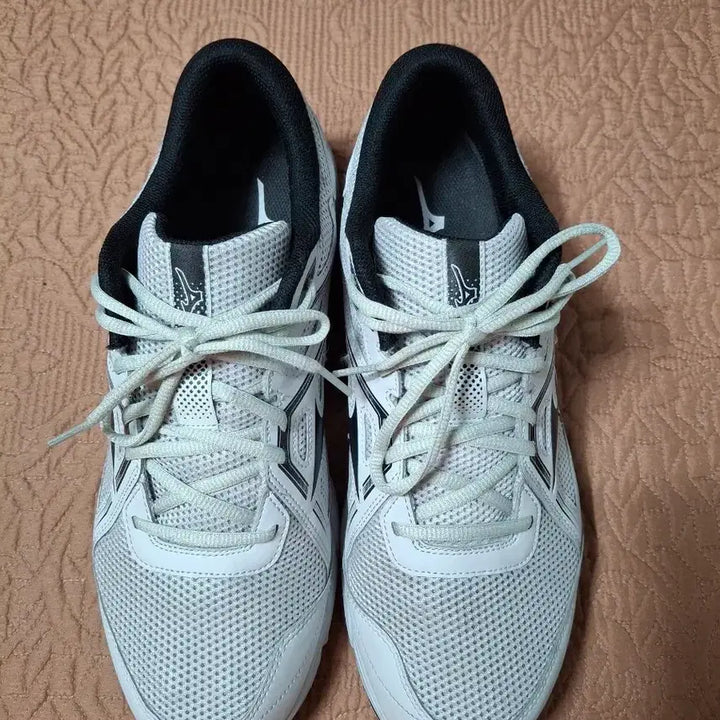 [BUNJANG] Mizuno Max-Mizer 25 Running Shoes Sneakers (Size 300) / 300 미즈노 멕스마이저25 런닝화 운동화 [0823]