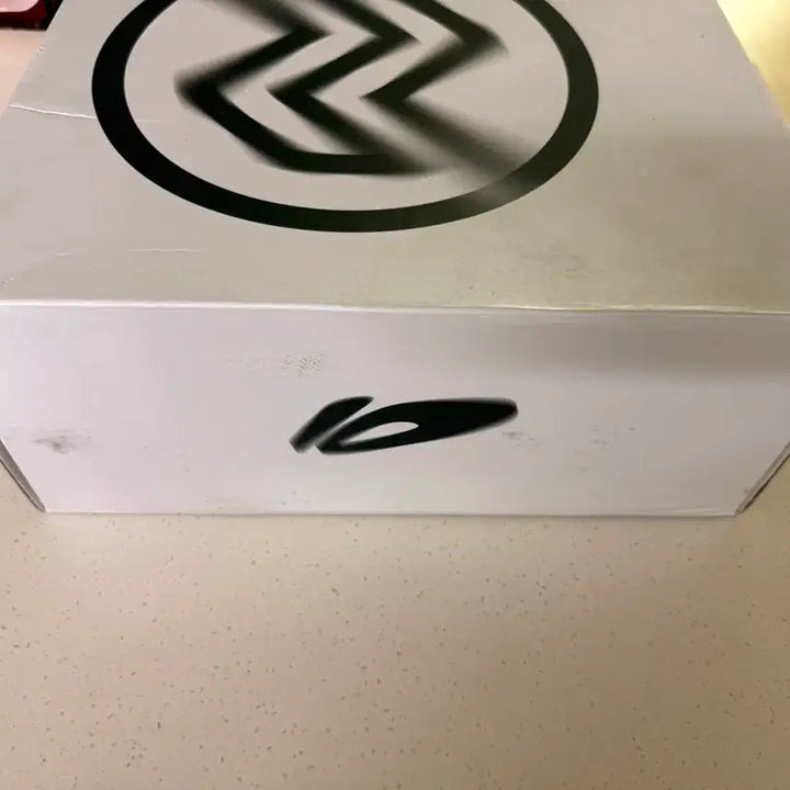 [BUNJANG] Li-Ning Speed 10 Shoes / 리닝 스피드10