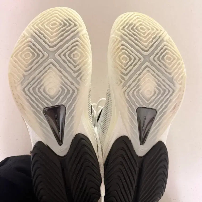 [BUNJANG] Li-Ning Speed 10 Shoes / 리닝 스피드10