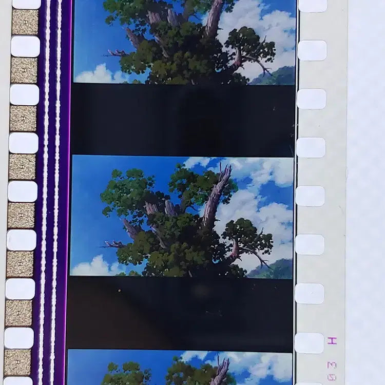[BUNJANG] Ghibli Spirited Away Film Cut 6 Frames 3 Pieces / 지브리 센과 치히로의 행방불명 영화필름컷 6프레임 3매 (F-25)