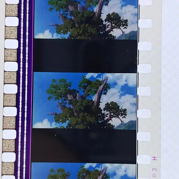 [BUNJANG] Ghibli Spirited Away Film Cut 6 Frames 3 Pieces / 지브리 센과 치히로의 행방불명 영화필름컷 6프레임 3매 (F-25)
