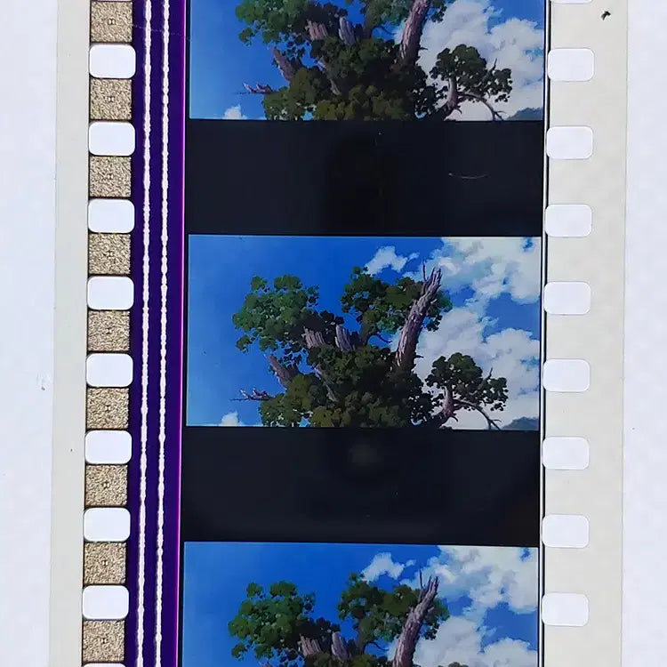 [BUNJANG] Ghibli Spirited Away Film Cut 6-Frame Set / 지브리 센과 치히로의 행방불명 영화필름컷 6프레임 3매 (F-29)