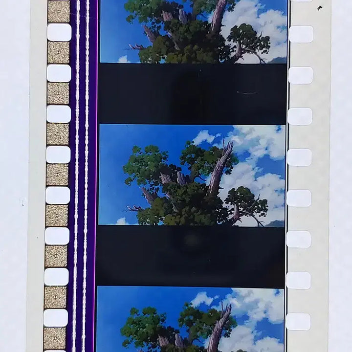 [BUNJANG] Ghibli Spirited Away Film Cut 6-Frame Set / 지브리 센과 치히로의 행방불명 영화필름컷 6프레임 3매 (F-29)