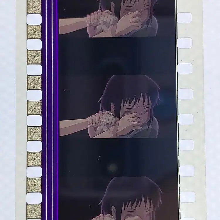 [BUNJANG] Ghibli Spirited Away Film Cut Set / 지브리 센과 치히로의 행방불명 영화필름컷 6프레임 3매 (F-36)