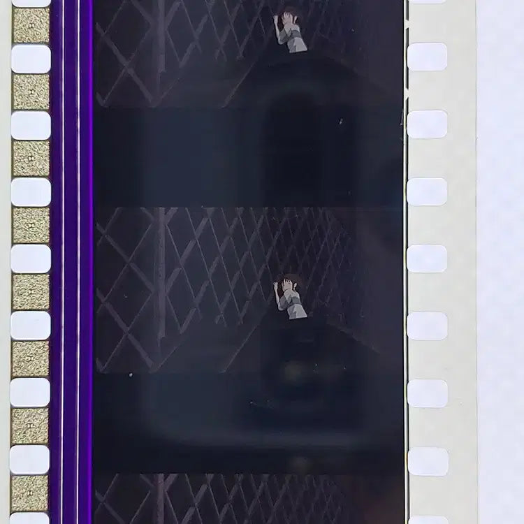 [BUNJANG] Ghibli Spirited Away Film Cut 6-Frame 3-Piece Set / 지브리 센과 치히로의 행방불명 영화필름컷 6프레임 3매 (F-38)