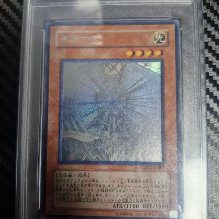 [BUNJANG] Ernest Holographic Rare PSA 8 Card / 어니스트 일판 홀로 psa 8 급처 마지막 가격