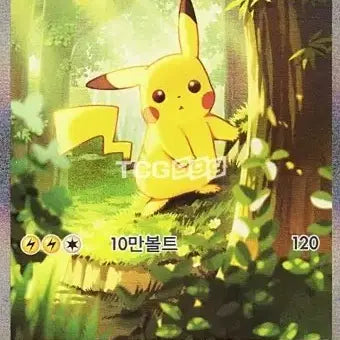 [BUNJANG] Pokémon Pikachu SAR Card (Korean Edition) / [구매] 100덱 피카츄 sar 구매 (한글판)