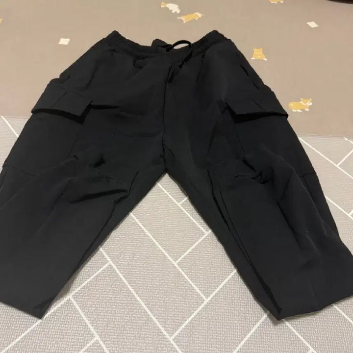 [BUNJANG] Cargo Pants / 카고바지/솜바지