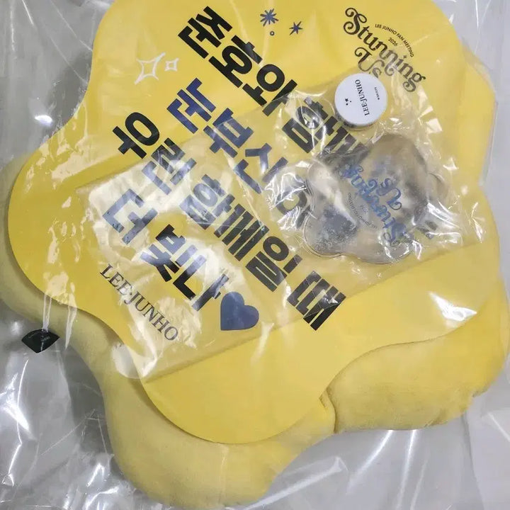[BUNJANG] Lee Junho Cushion Set / 이준호굿즈