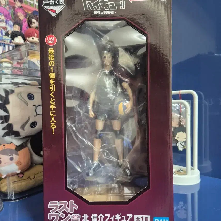 [BUNJANG] Haikyuu! Kita Shinsuke Figure Last One Prize / 하이큐 제일복권 키타 신스케 피규어 라스트원상 택포8.6