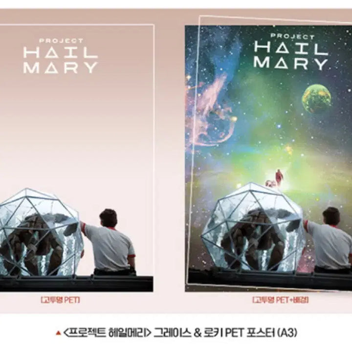 [BUNJANG] Project Hail Mary Grace &amp; Rocky PET Poster / 프로젝트헤일메리 그레이스&amp;로키 2차 pet 포스터 펫포스터