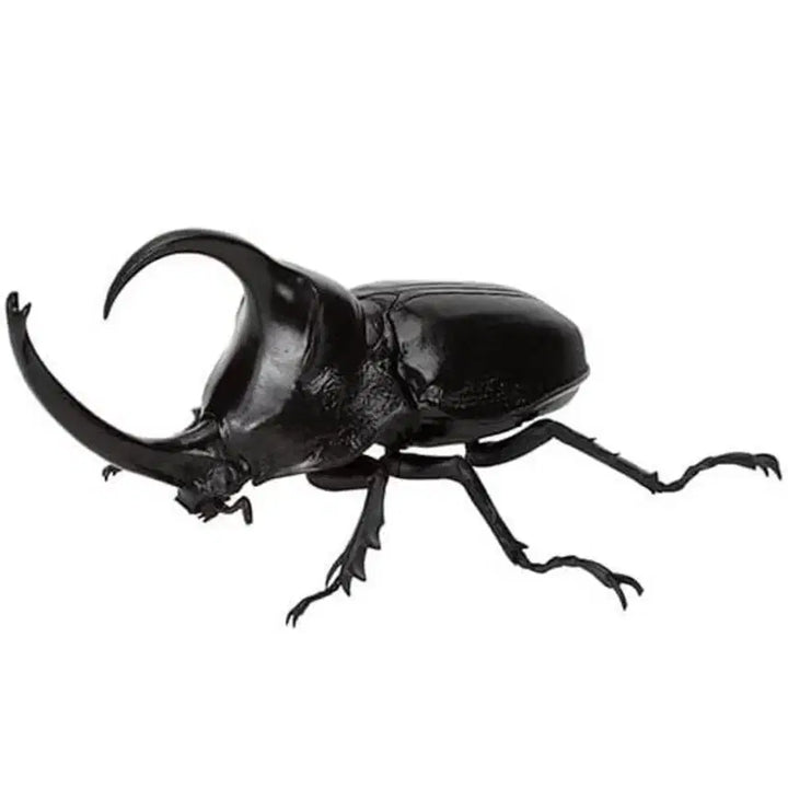 [BUNJANG] Bandai Biological Encyclopedia Insect Long Horned Beetle (Long Version) Sealed / 미개봉)반다이 생물대도감 곤충 판장수풍뎅이(롱)
