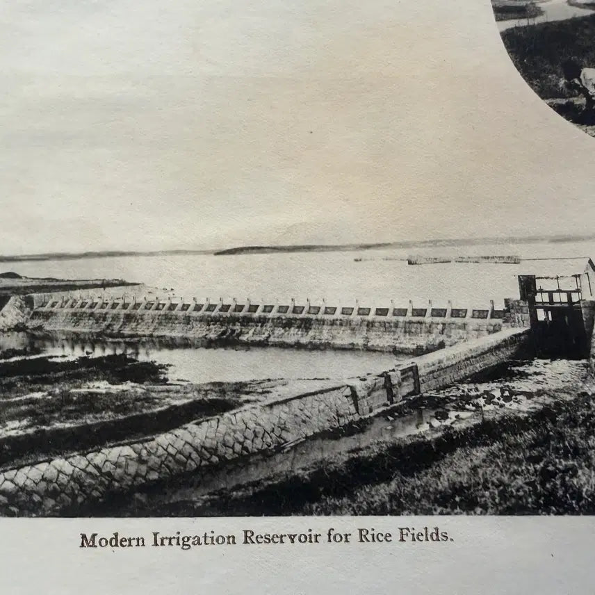 [BUNJANG] 1920s Korean Irrigation System Comparison / 1920년 - 근대기 수리 시설 농업 용수 전통적 근대적 논 관개 시설