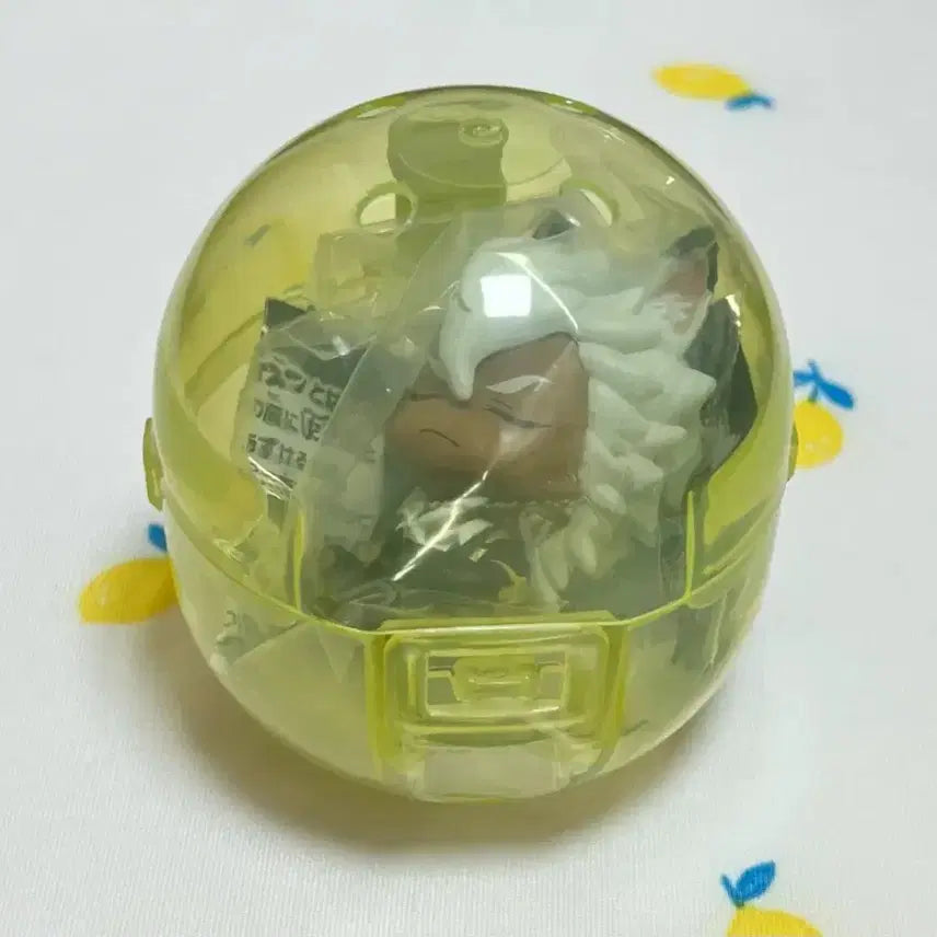 [SOLD OUT] 트위스테 어깨쿵 사바나클로 잭 판매