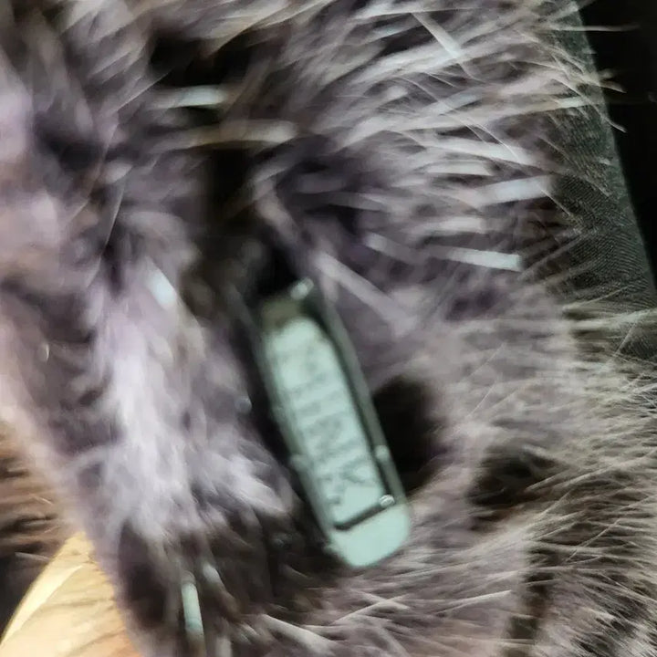 [BUNJANG] Lilyen Leopard Mink Hooded Jacket / Lilyen 밍크 호피밍크 후드자켓