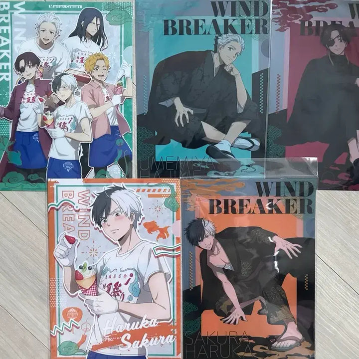 [BUNJANG] Winbreaker Clear File / 윈브레 클리어파일