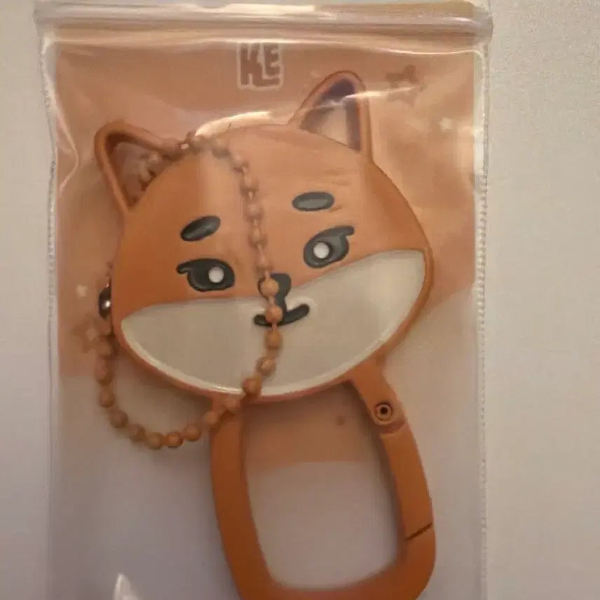 [BUNJANG] Day6 K Carabiner / (원가이하)데이식스 케 카라비너