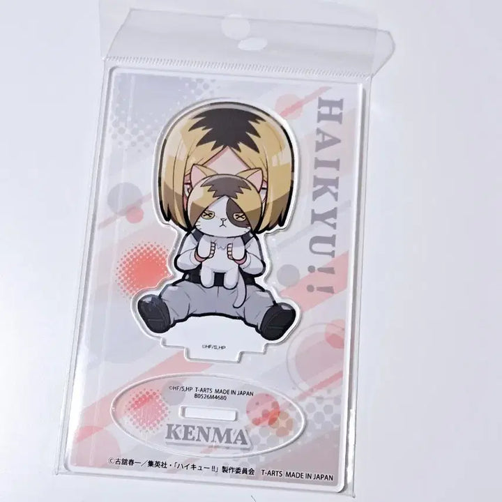 [BUNJANG] Haikyu Kenma Acrylic Stand Nekoma / 하이큐 켄마 아크릴 네코마