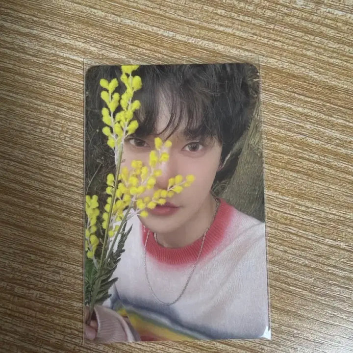 [SOLD OUT] 엔시티 도영 청춘의 포말 포카 양도해요!