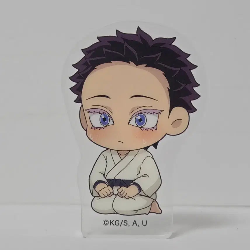[BUNJANG] Demon Slayer Hakuji Korotto Plush / 귀멸의 칼날 하쿠지 코롯토
