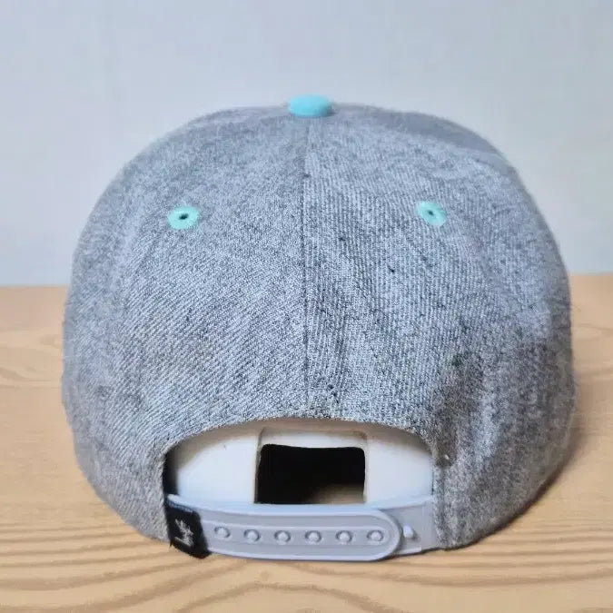 [BUNJANG] Stussy SS Logo Snapback Hat Gray/Mint / 스투시 SS로고 스냅백 모자 회색/민트 프리 57-59cm 가능