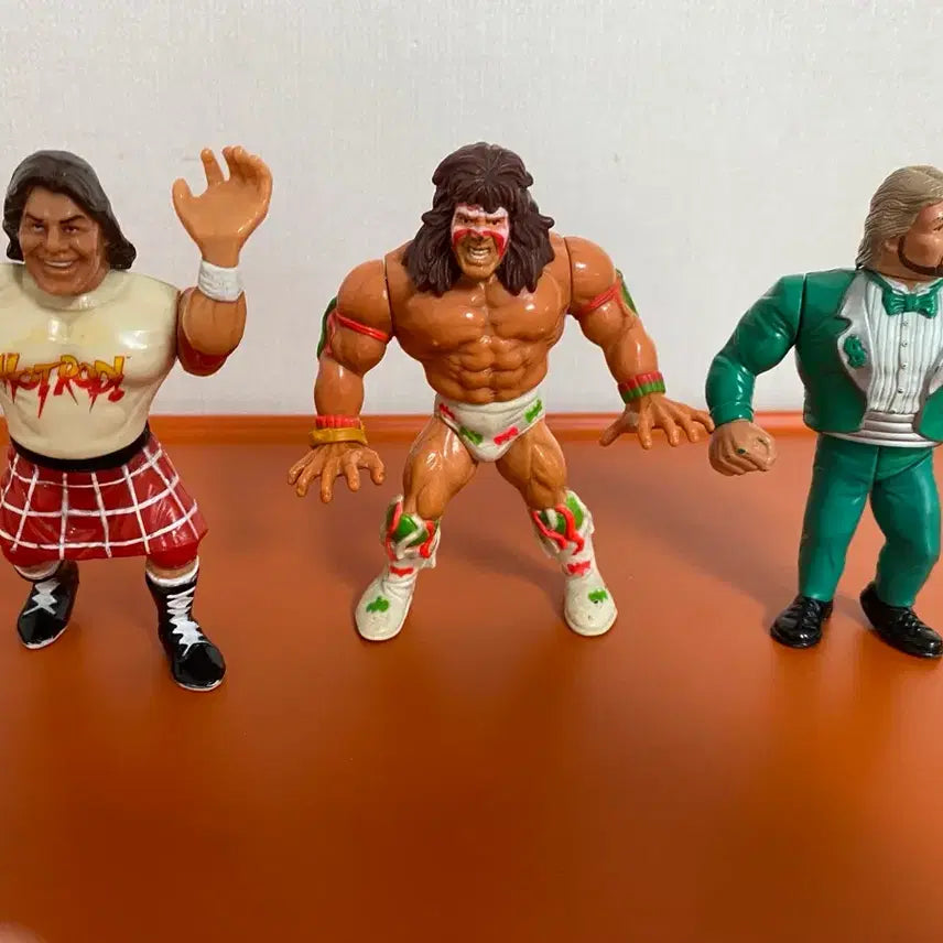 [BUNJANG] Hasbro WWF Wrestler Action Figure Set / 프로레슬링 영실업 하스브로 WWF 레슬러 액션 피규어 9세트