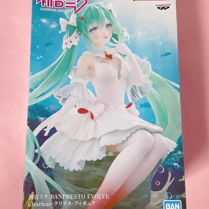 [SOLD OUT] 판매완료