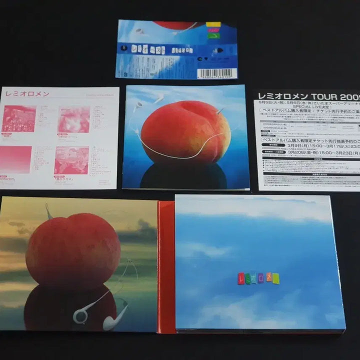 [BUNJANG] Remioromen Best Album (CD+DVD) Limited Edition / 레미오로멘 베스트 앨범 REMIO BEST (CD+DVD) 한정반