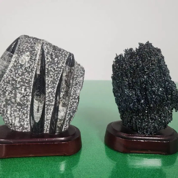 [BUNJANG] Orthoceras Fossil and Carborundum Mineral Bundle Set / 오소세라스 화석과 카보런덤 광물 수석 2개 일괄