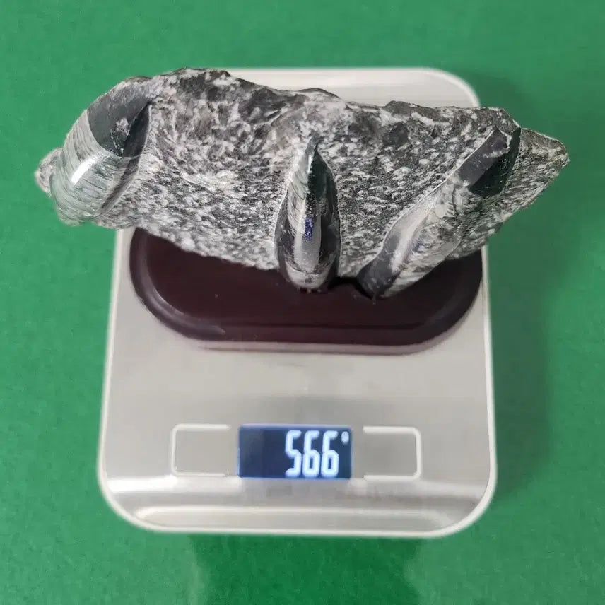 [BUNJANG] Orthoceras Fossil and Carborundum Mineral Bundle Set / 오소세라스 화석과 카보런덤 광물 수석 2개 일괄