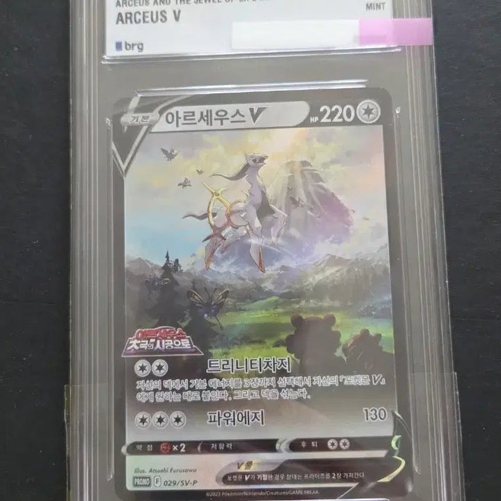 [BUNJANG] Pokemon Arceus V Promo Card / 포켓몬카드 아르세우스v 프로모(brg9)