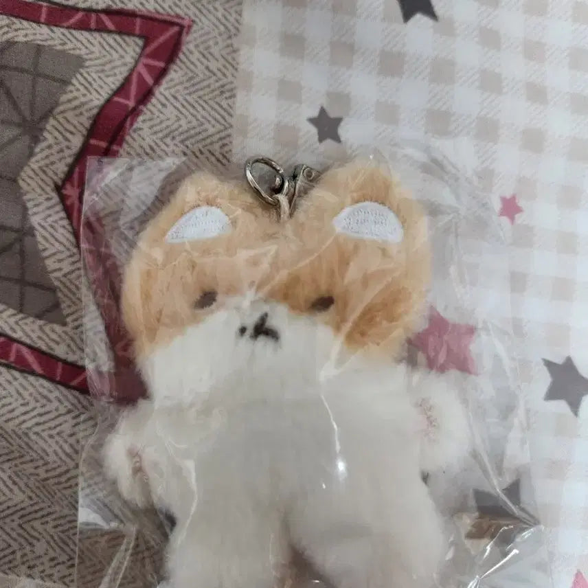 [BUNJANG] Baekhyun "Teoreagi" Collection (Sealed/Displayed) / 백현 터래기
